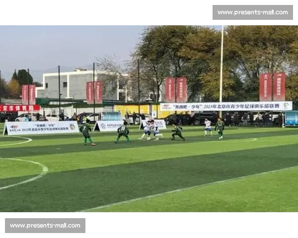 以足球赛事推广为核心打造城市体育品牌新高地区域经济与文化发展